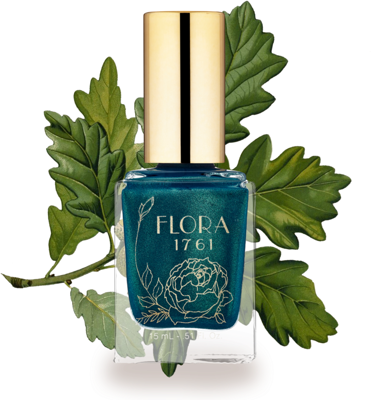 Nail Lacquer In Aralia Leaf Clipart (1024x922), Png Download