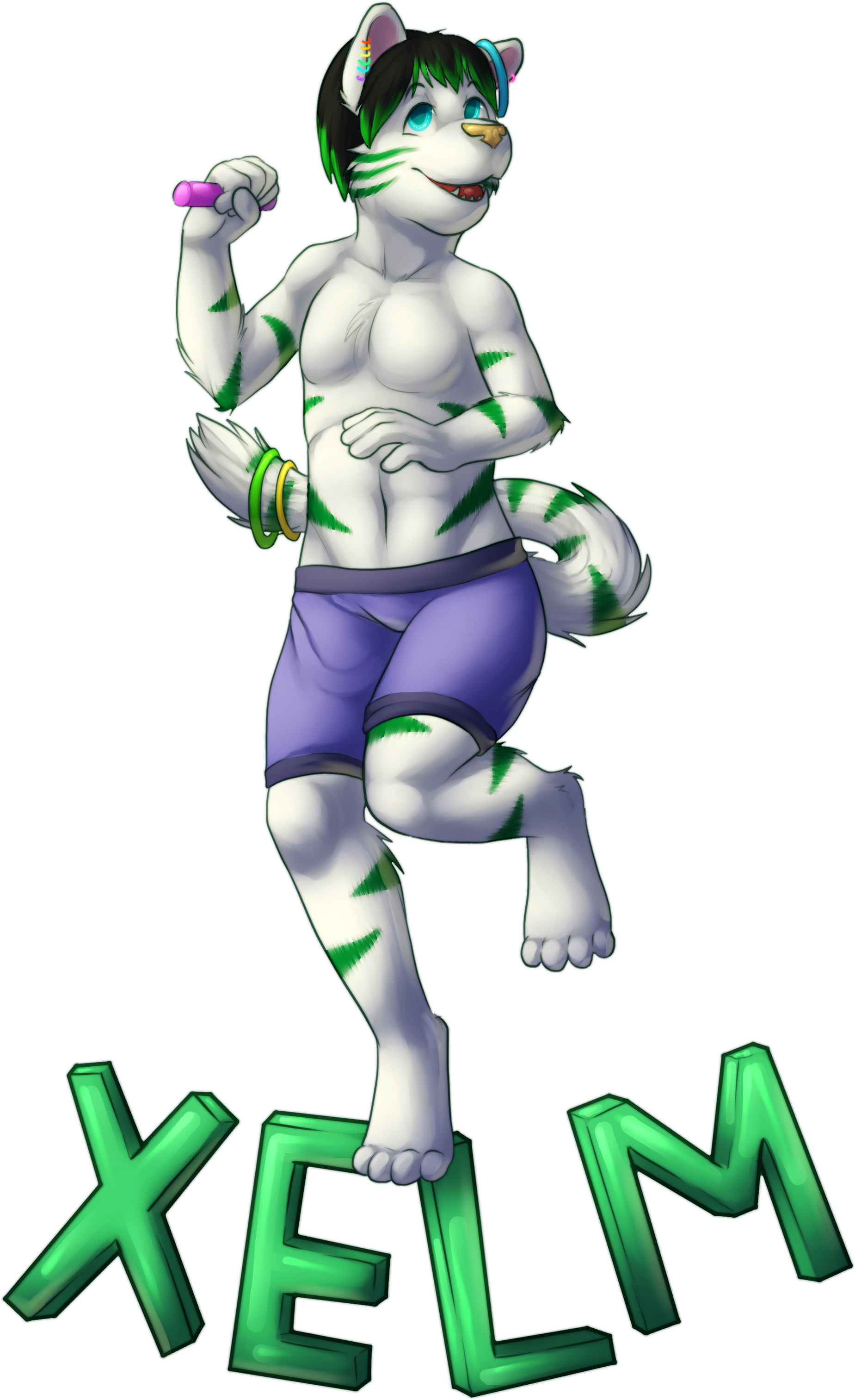 Xelm Badge Clipart (2017x3199), Png Download