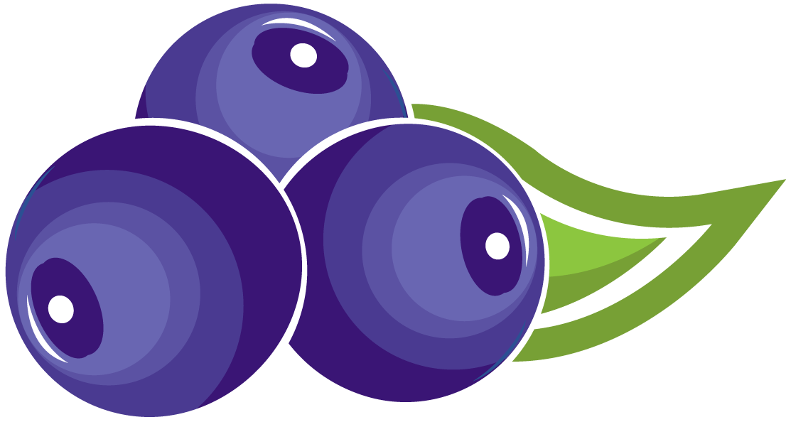 Berries Clipart Antioxidant - Png Download (1106x594), Png Download