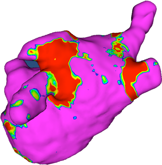 Adas-af Product Characterize The Tissue Of The Left Clipart (600x600), Png Download