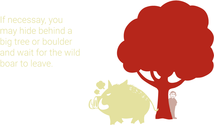 When You Meet A Wild Boar Clipart (850x484), Png Download