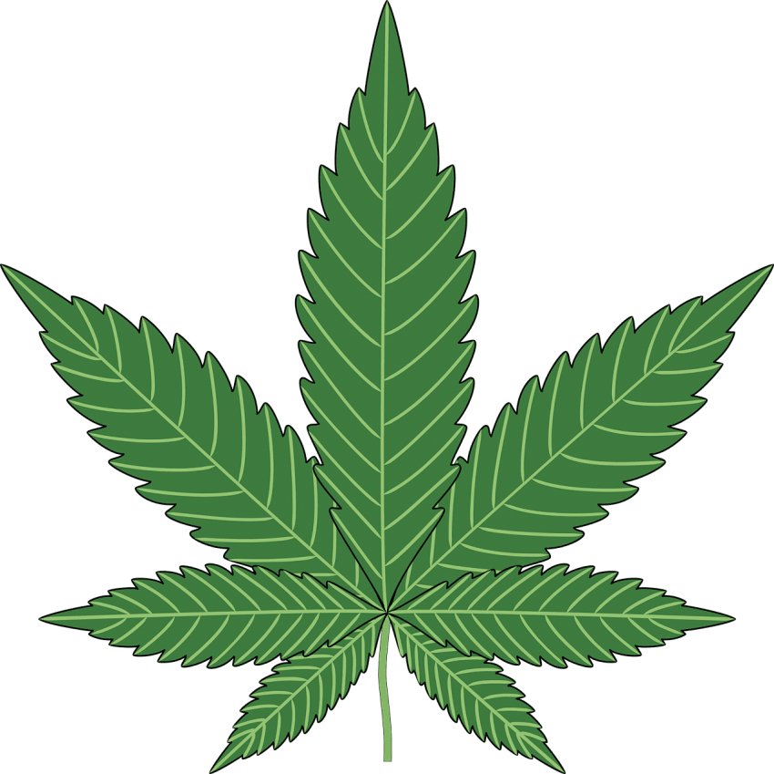 Free Png Download Cannabis Clipart Png Photo Png Images Transparent Png (850x849), Png Download