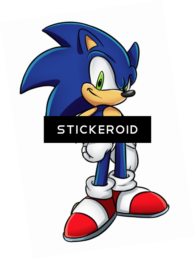 Sonic The Hedgehog Clipart (654x868), Png Download