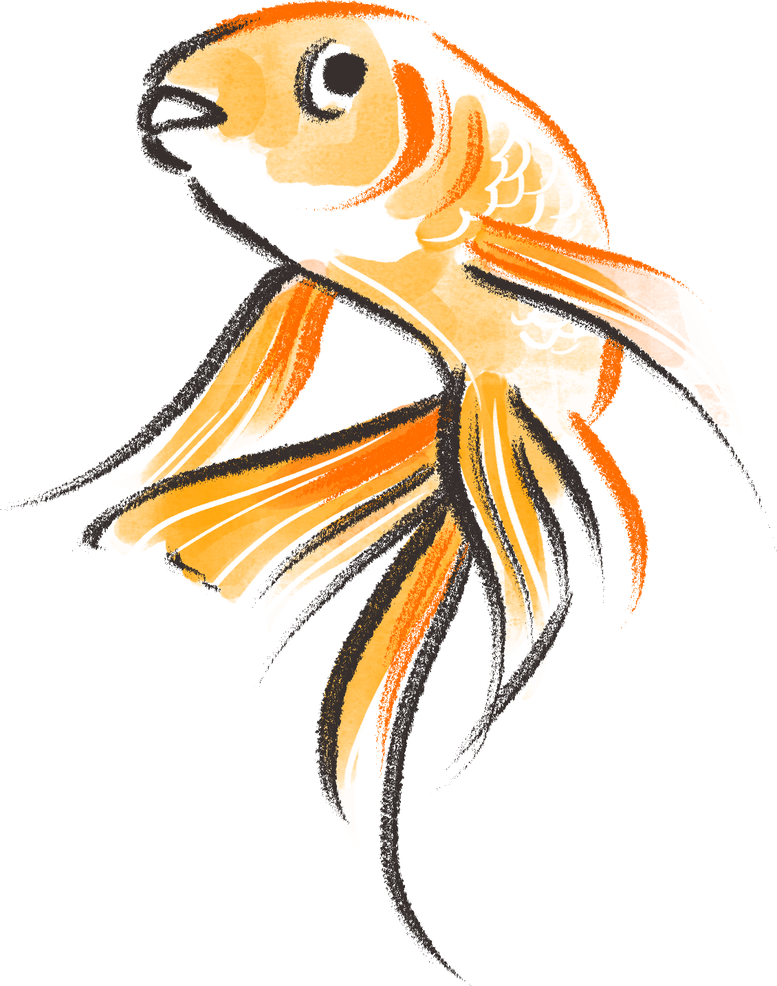 Drawn Goldfish Cute Clipart (1130x1433), Png Download