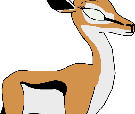 Gazelle Clipart Springbok - Png Download (640x480), Png Download