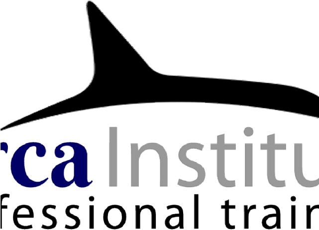 Orca Clipart Simple - Png Download (640x480), Png Download