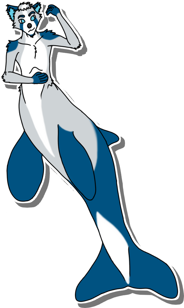 Hayaikawa Orca Clipart (624x1047), Png Download