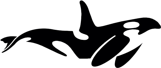 Orca Clipart (600x613), Png Download