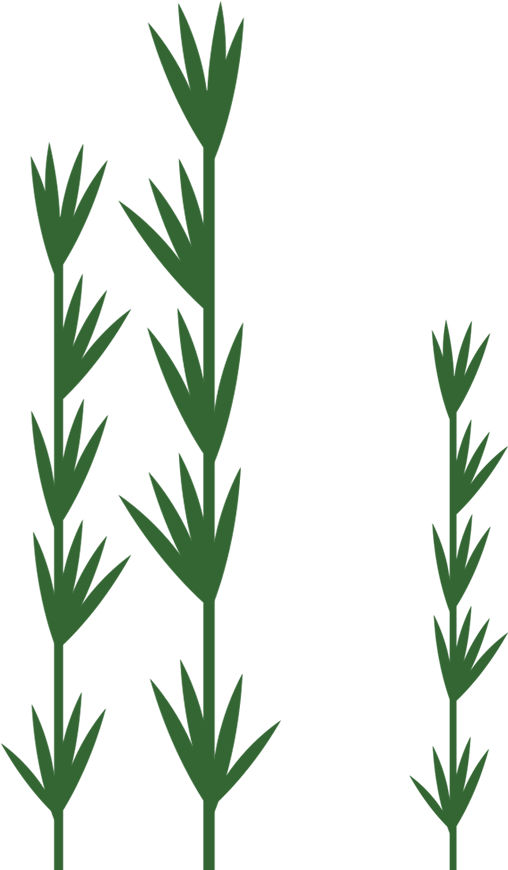 Featured Work → Clipart (1000x1200), Png Download