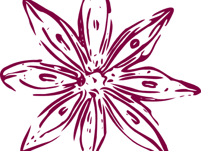 Lily Clipart Purple Lily - Png Download (640x480), Png Download