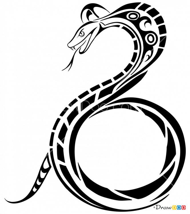 Tribal Snakes Tattoos Clipart (665x748), Png Download