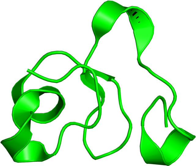 <div Class='caption-body'>1 Copy Of Cath Domain < Clipart (800x800), Png Download
