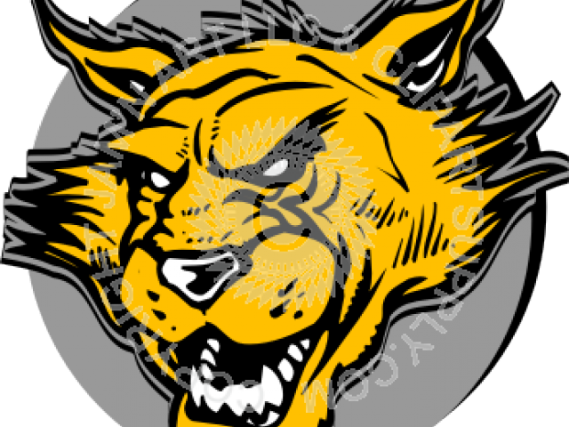 Head Clipart Wildcat - Png Download (640x480), Png Download