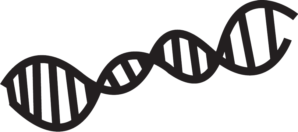 Dna - Clipart (978x435), Png Download