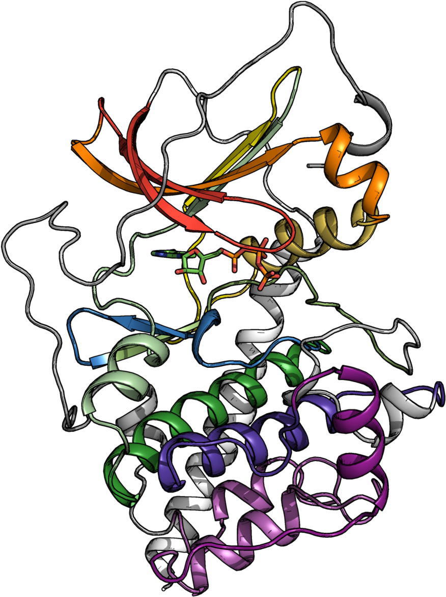 This Approach Is Applied To Understand How Disease Clipart (960x1200), Png Download