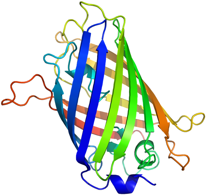 Biological Information And Intelligent Design Clipart (700x700), Png Download