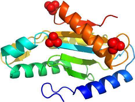 Eal/ggdef Domain Protein Pdb Model Clipart (640x480), Png Download