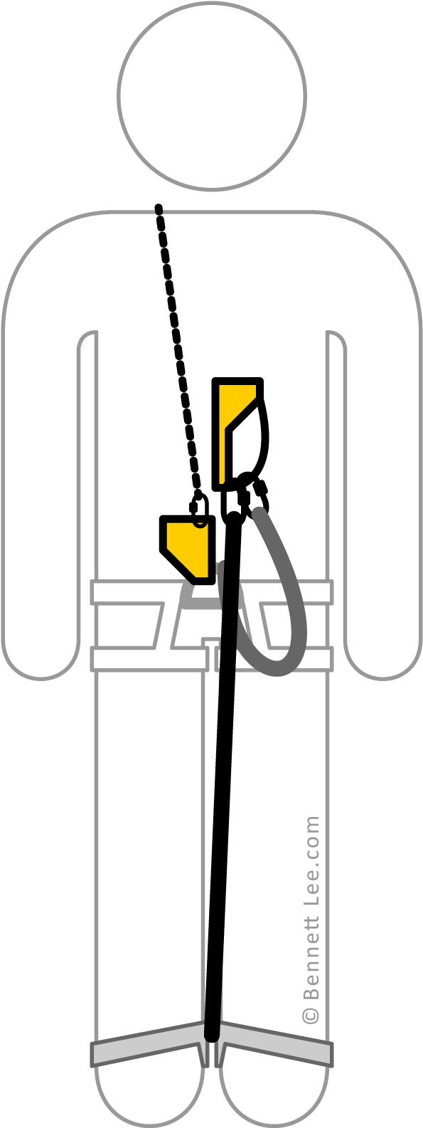 Frog Ascending System Clipart (600x1600), Png Download
