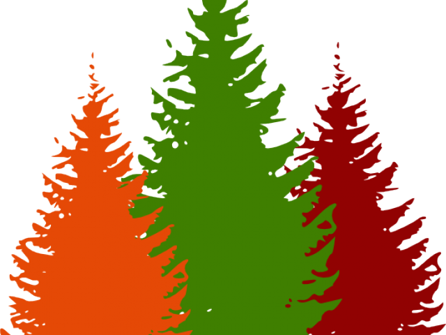 Pine Tree Clipart Forest - Png Download (640x480), Png Download
