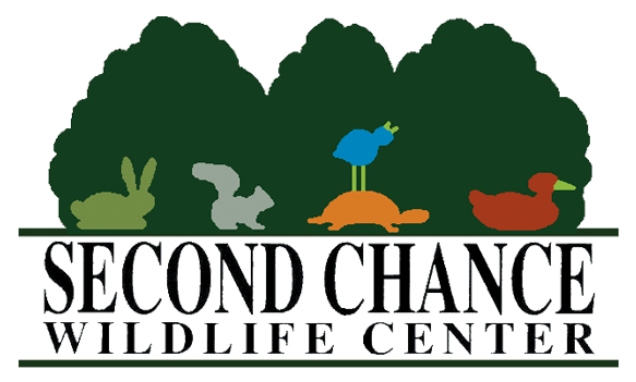 For This Charity Clipart (1000x350), Png Download