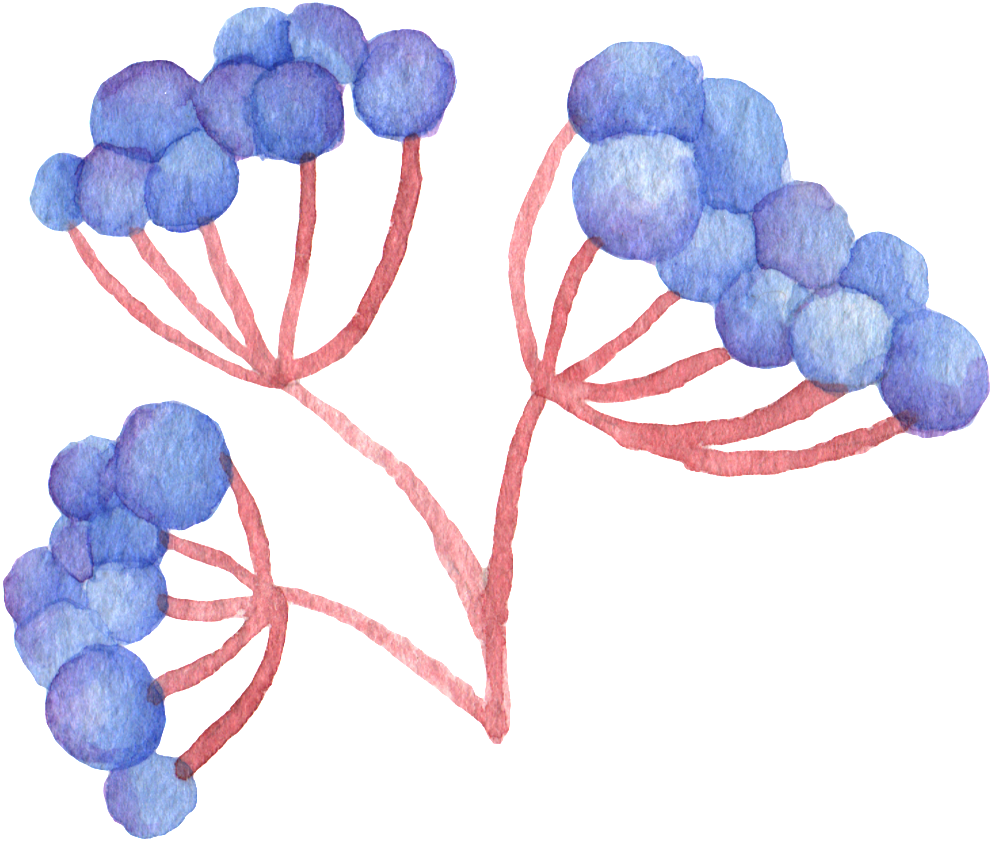 Grape Leaves Transparent Decorative Clipart (1024x873), Png Download