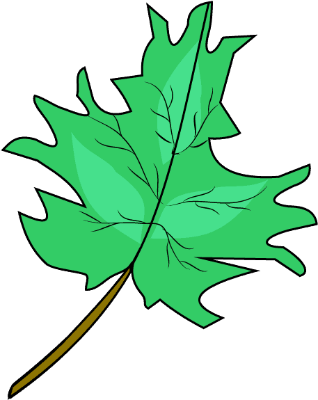 How To Draw Maple Leaf Clipart (678x600), Png Download