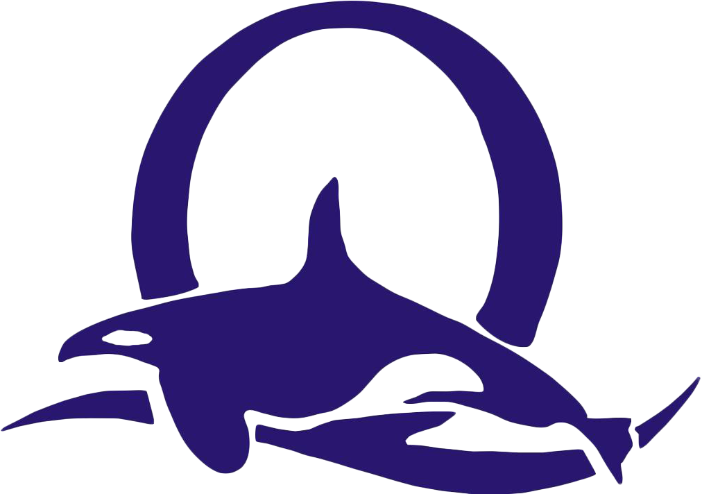 Orca Clipart (1024x711), Png Download