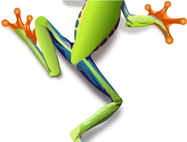 Red Eyed Tree Frog Clipart Small Frog - Png Download (640x480), Png Download