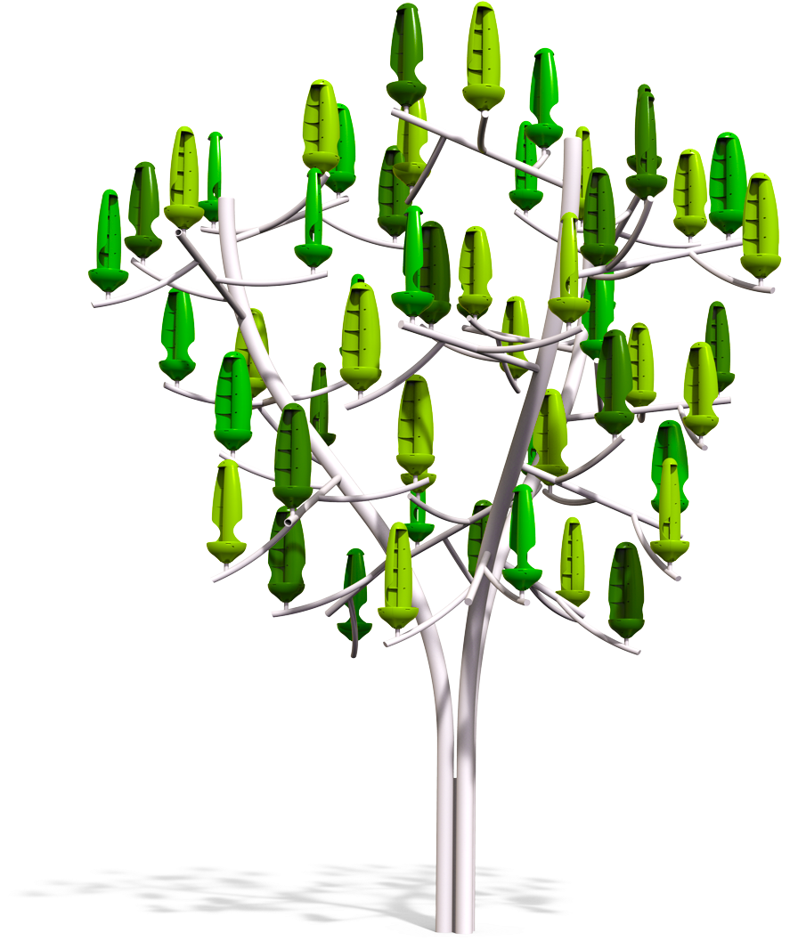 The Wind Tree® Clipart (895x1080), Png Download