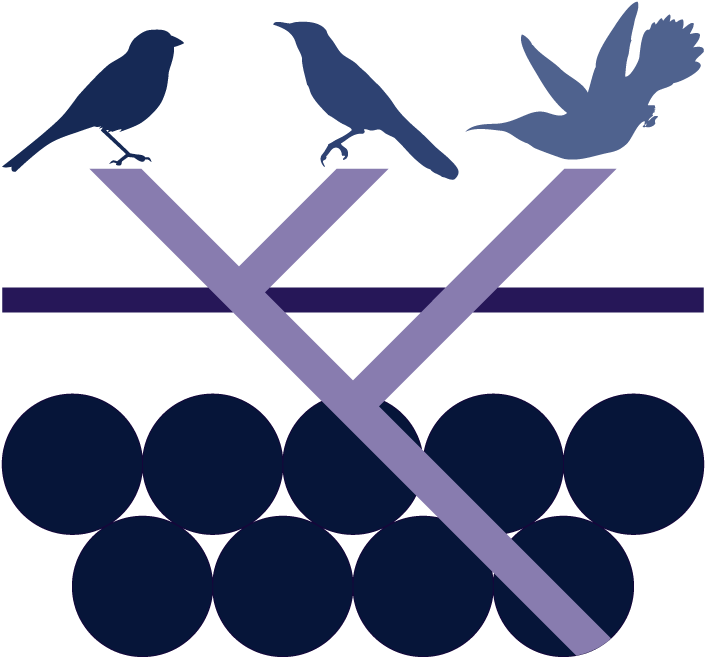 As A Biologist, I Studied The Production And Evolution Clipart (720x720), Png Download