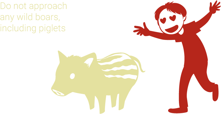 When You Meet A Wild Boar Clipart (850x484), Png Download