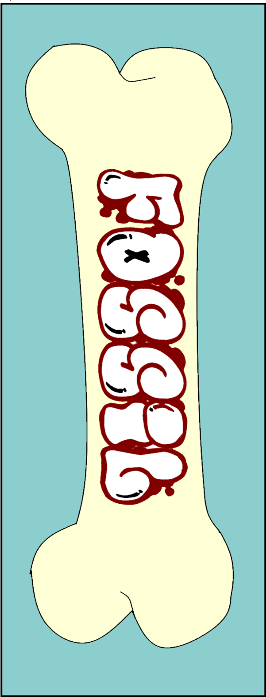 Fossil Bone Deck Clipart (1777x1875), Png Download