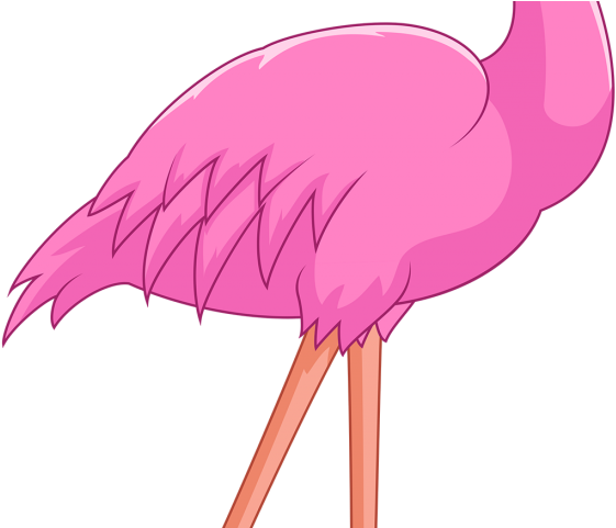 Flamingo Clipart - Png Download (640x480), Png Download