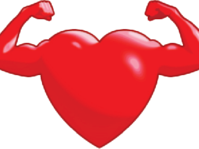Organs Clipart Heart Muscle - Png Download (640x480), Png Download
