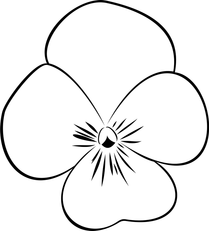 Delicate Orchid Rubber Stamp Clipart (724x800), Png Download