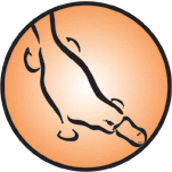 The Template Below, The Platypus, Is The Very Oldest Clipart (600x600), Png Download