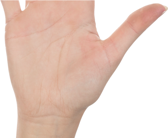 Finger Clipart High Five - Png Download (640x480), Png Download