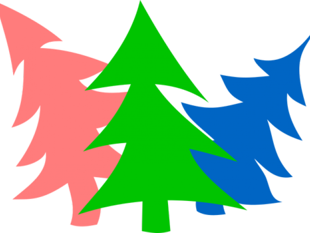 Fir Tree Clipart Symmetrical Tree - Png Download (640x480), Png Download