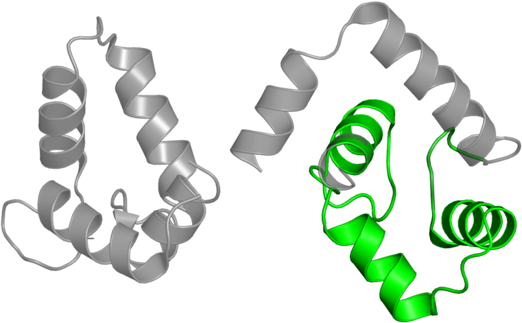 <div Class='caption-body'>1 Copy Of Pfam Domain Clipart (800x800), Png Download