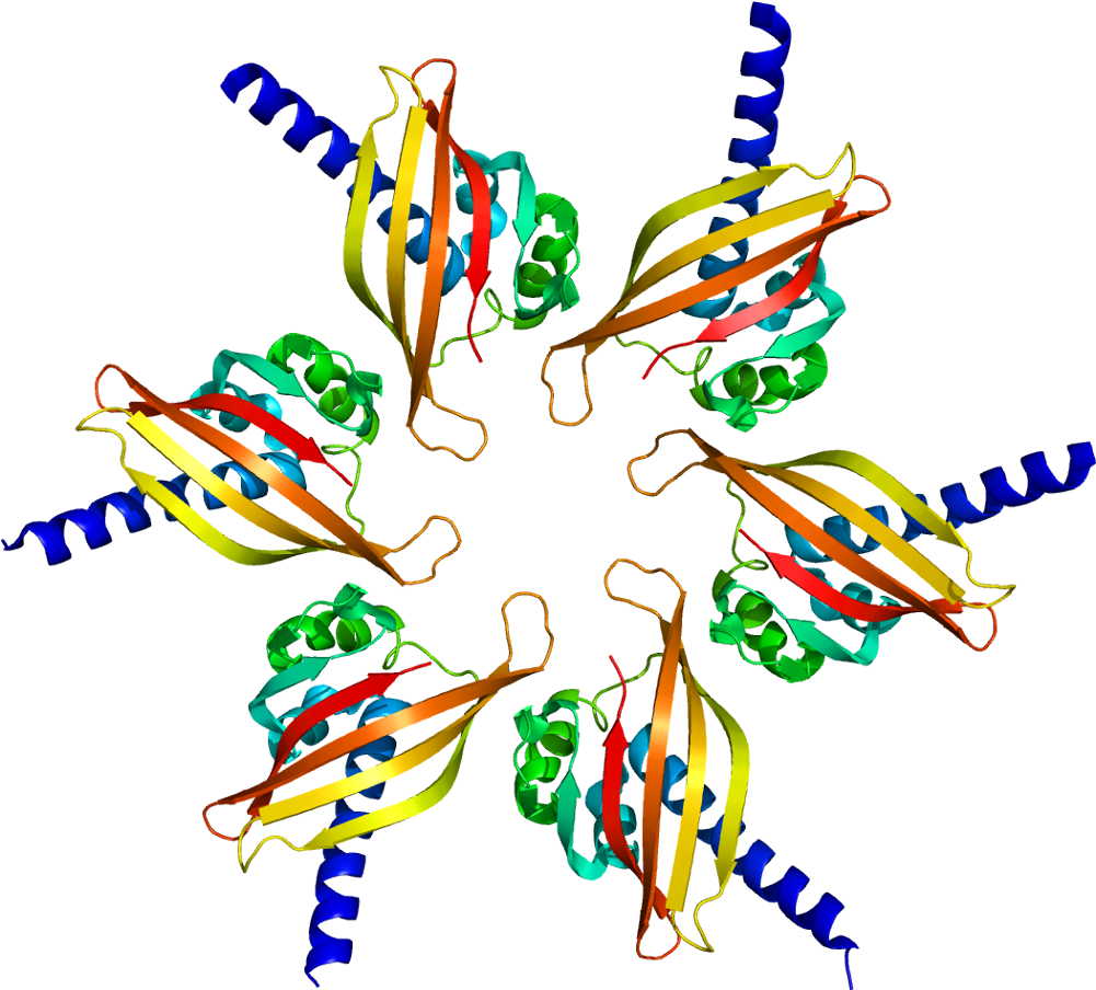 Lisa's Hmb300 Glog Clipart (1050x953), Png Download