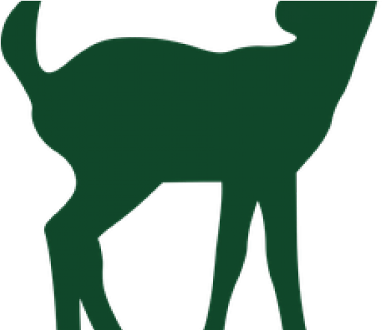 Fawn Clipart Female Deer - Png Download (640x480), Png Download