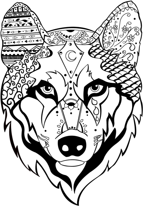 Bleed Area May Not Be Visible Clipart (498x700), Png Download