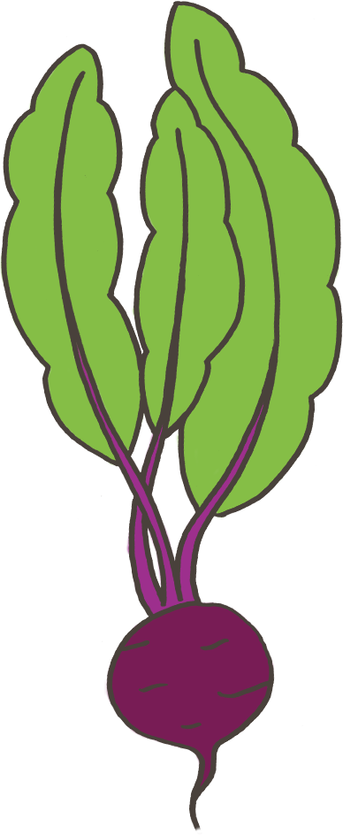 Big Beet Clipart (388x944), Png Download