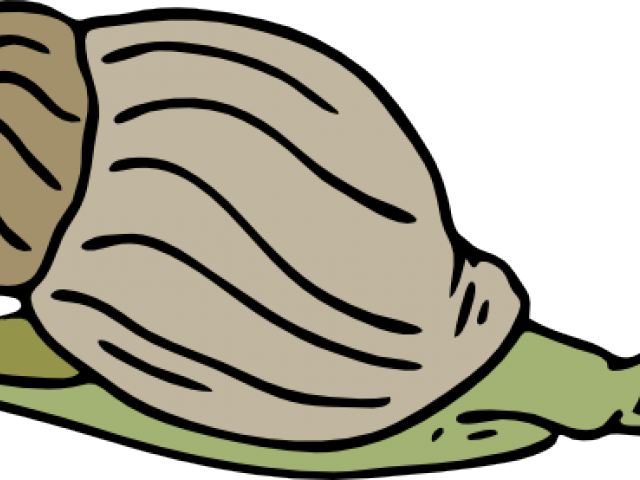 Mollusc Clipart Lion - Png Download (640x480), Png Download