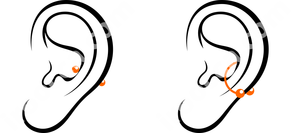 Labret Clipart (1000x458), Png Download