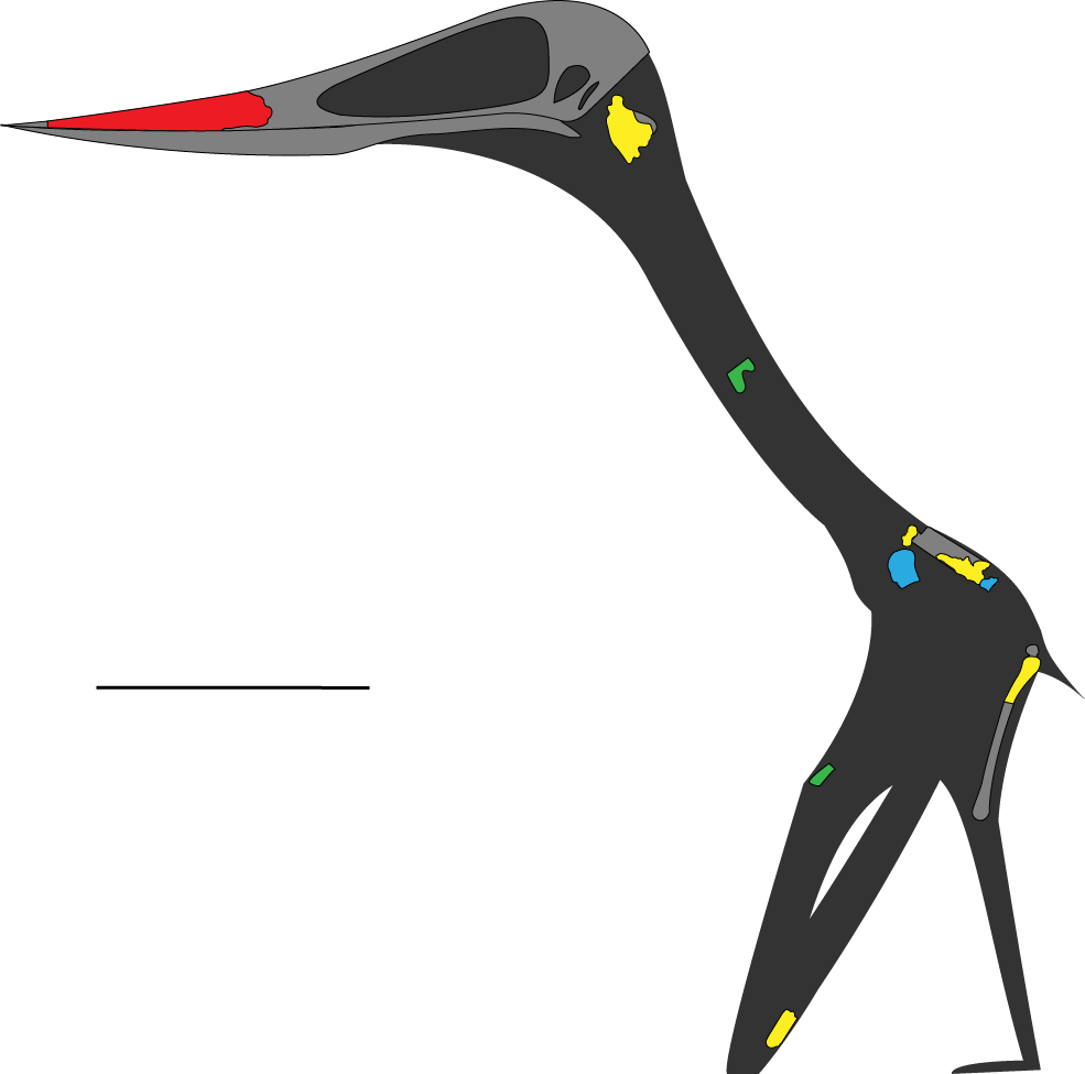 Henry Thomas On Twitter Clipart (985x975), Png Download