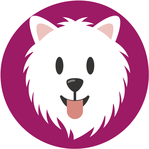 Pack Clipart (800x540), Png Download