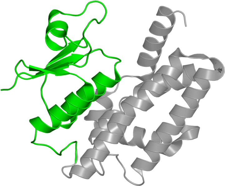 <div Class='caption-body'>1 Copy Of Cath Domain Clipart (800x800), Png Download