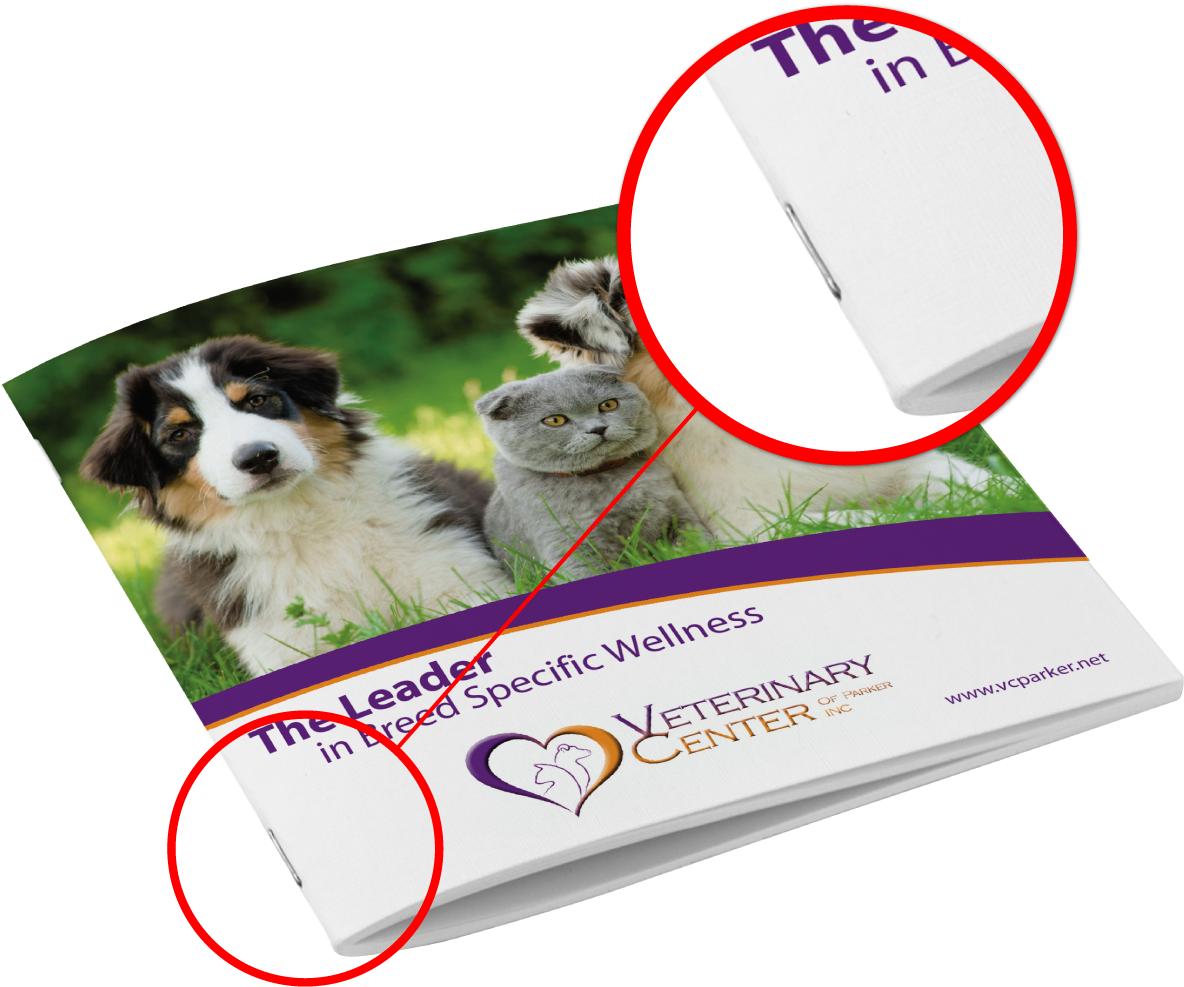 What Is Saddle Stitch Clipart (1200x992), Png Download