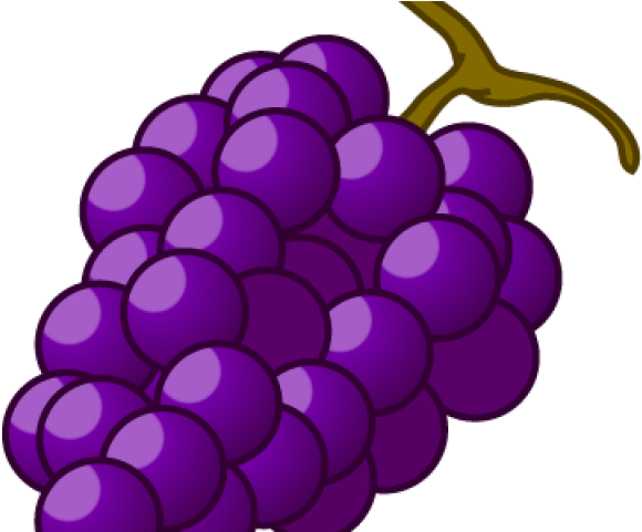 Grapes Clipart Autumn Fruit - Png Download (640x480), Png Download